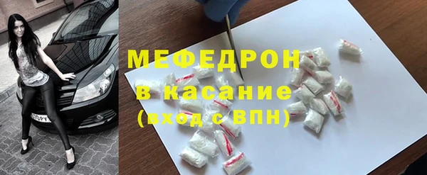 индика Абаза