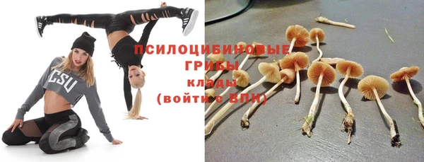 ешки Абинск