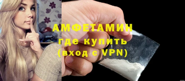 индика Абаза