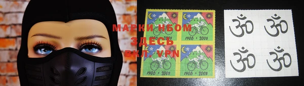 индика Абаза
