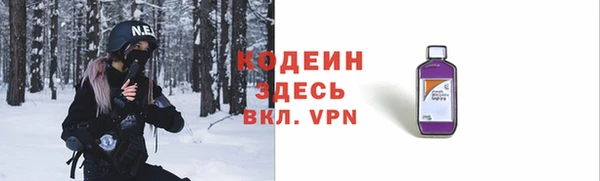 индика Абаза