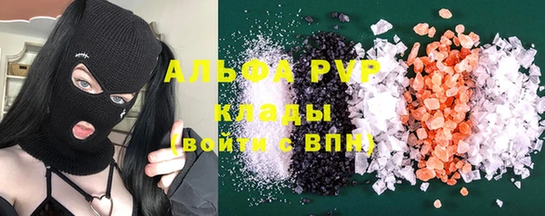 индика Абаза