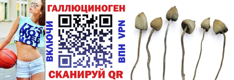 Псилоцибиновые грибы мицелий  хочу   kraken вход  Тольятти 